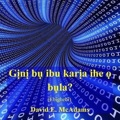 Cover for David E McAdams · Gini Bu Ibu Karia Ihe O Bula? (Paperback Book) (2015)