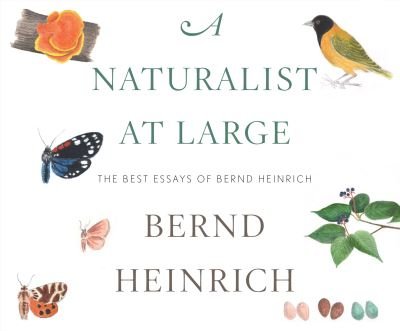 Cover for Bernd Heinrich · A Naturalist at Large (CD) (2018)