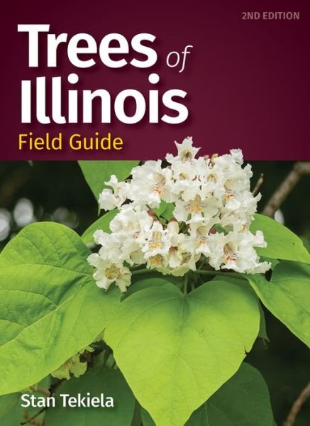 Cover for Stan Tekiela · Trees of Illinois Field Guide - Tree Identification Guides (Paperback Bog) [2 Revised edition] (2023)