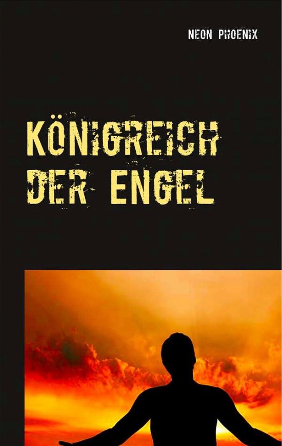 Cover for Phoenix · Königreich der Engel (Bog)