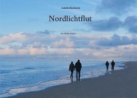 Cover for Isabella Renitente · Nordlichtflut (Paperback Book) (2021)