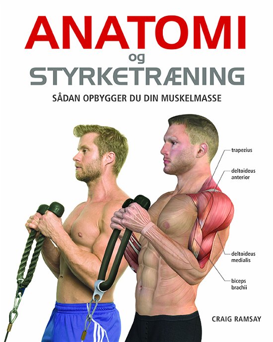 Anatomi og styrketræning - Craig Ramsay - Böcker - Legind - 9788771558784 - 5 maj 2020