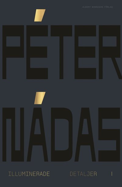 Cover for Peter Nádas · Illuminerade detaljer 1 : minnesblad ur ett författarliv (Landkarten) (2022)