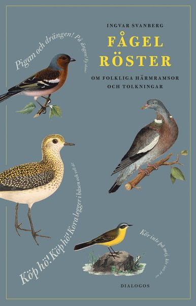 Fågelröster. Om folkliga härmramsor och tolkningar - Ingvar Svanberg - Books - Dialogos Förlag - 9789175043784 - May 10, 2021