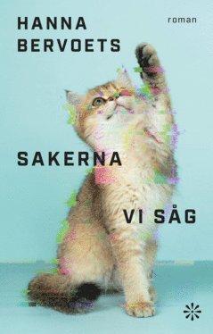 Cover for Hanna Bervoets · Sakerna vi såg (ePUB) (2023)