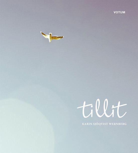 Cover for Karin Sjöqvist Wernberg · Tillit (Bound Book) (2012)