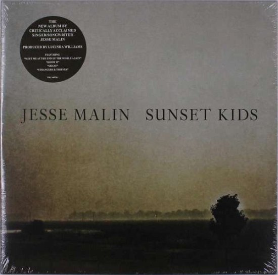 Cover for Jesse Malin · Sunset Kids (LP) (2019)