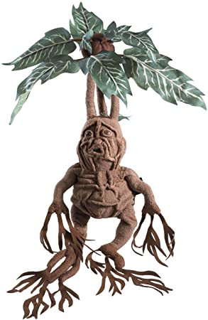 Cover for Harry Potter: Noble Collection · Mandrake (Plush / Peluche) (MERCH) (2021)