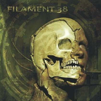 Cover for Filament 38 · Isolate Decay Disintegrate (CD) (2013)