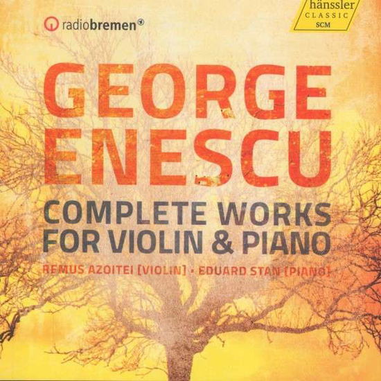 Cover for G. Enescu · Works for Violin &amp; Piano (CD) (2014)