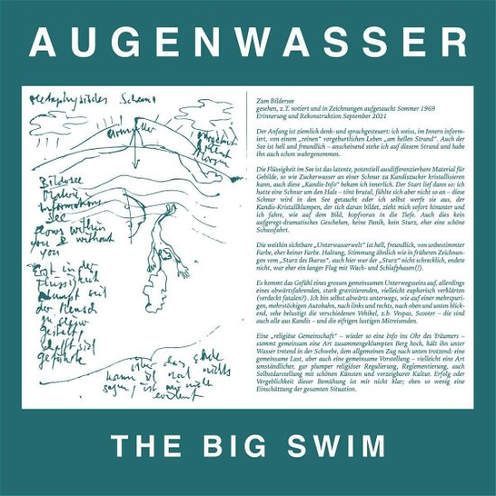 Cover for Augenwasser · Big Swim (CD) (2022)