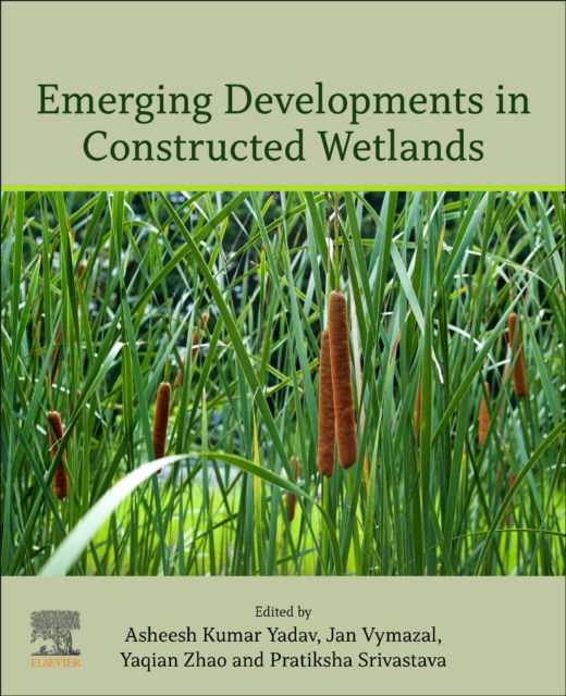 Yadav, Asheesh Kumar (Principal Scientist and Associate Professor, CSIR-Institute of Minerals and Materials Technology, Bhubaneswar, India) · Emerging Developments in Constructed Wetlands (Taschenbuch) (2024)