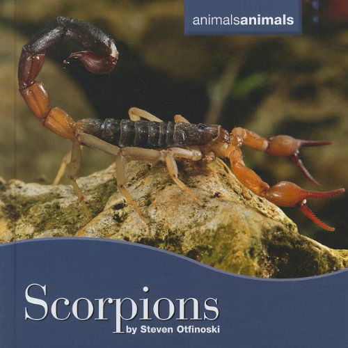 Cover for Steven Otfinoski · Scorpions (Animals Animals) (Hardcover Book) (2012)