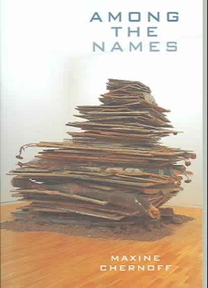 Cover for Maxine Chernoff · Among the Names (Paperback Book) (2005)