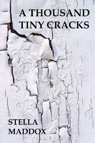 Cover for Stella Maddox · A Thousand Tiny Cracks (Paperback Book) (2013)