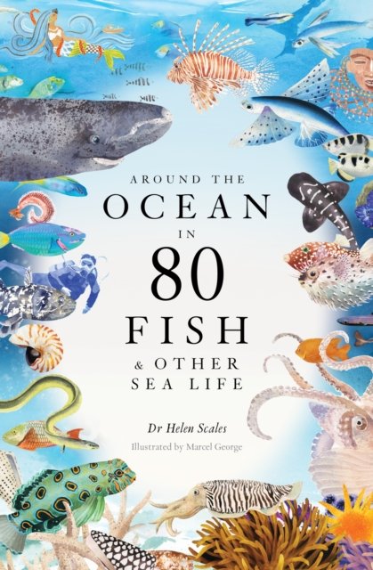 Cover for Helen Scales · Around the Ocean in 80 Fish and other Sea Life (Hardcover Book) (2023)