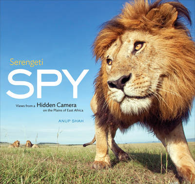 Cover for Anup Shah · Serengeti Spy (Hardcover Book) (2012)