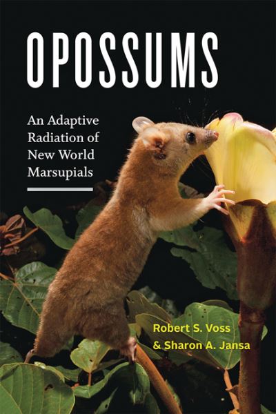 Cover for Voss, Robert S. (American Museum of Natural History) · Opossums: An Adaptive Radiation of New World Marsupials (Hardcover Book) (2021)