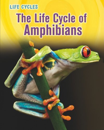 Cover for Darlene R. Stille · The Life Cycle of Amphibians (Life Cycles) (Hardcover Book) (2011)