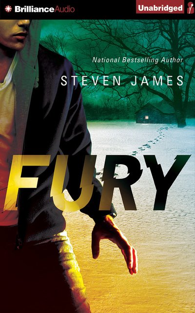 Cover for Steven James · Fury (N/A) (2015)