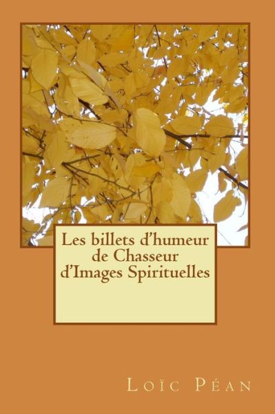 Cover for Loic Pean · Les Billets D'humeur Spirituelle De Chasseur D'images Spirituelles Iiii (Paperback Book) (2015)