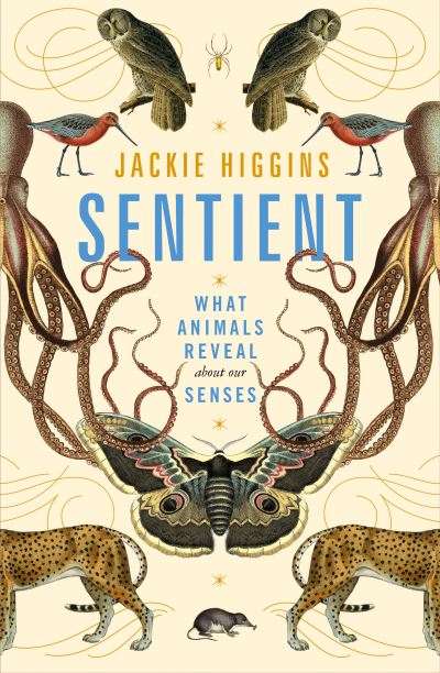 Sentient: What Animals Reveal About Our Senses - Jackie Higgins - Books - Pan Macmillan - 9781529030785 - June 24, 2021