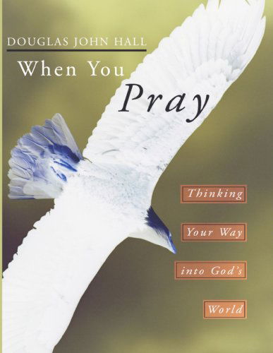 Cover for Douglas John Hall · When You Pray: Thinking Your Way into God's World (Taschenbuch) (2003)