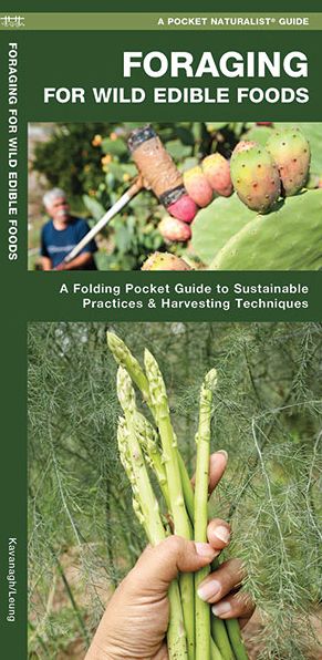 Foraging for Wild Edible Foods - James Kavanagh - Books - Tradeselect Limited - 9781620052785 - August 29, 2017