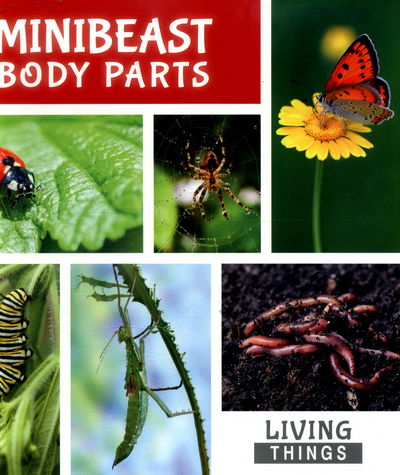 Cover for Steffi Cavell-Clarke · Minibeast Body Parts - Living Things (Hardcover Book) (2016)