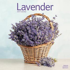 Cover for Lavender Calendar 2024  Square Flowers Wall Calendar - 16 Month (Calendar) (2023)