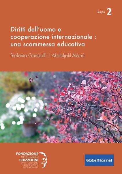 Cover for Stefania Gandolfi · Diritti dell'uomo e cooperazione internazionale (Paperback Book) (2020)