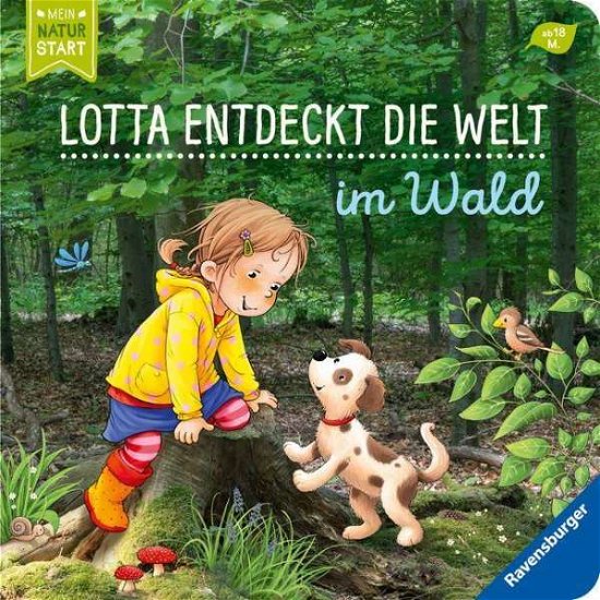 Cover for Sandra Grimm · Lotta entdeckt die Welt: Im Wald (Legetøj)