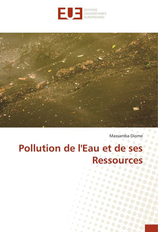 Cover for Diome · Pollution de l'Eau et de ses Ress (Book)