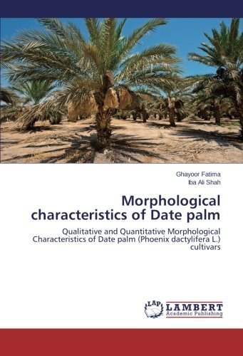 Cover for Iba Ali Shah · Morphological Characteristics of Date Palm: Qualitative and Quantitative Morphological Characteristics of Date Palm (Phoenix Dactylifera L.) Cultivars (Paperback Book) (2014)