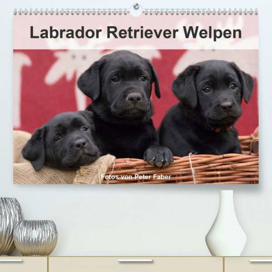 Cover for Faber · Labrador Retriever Welpen (Premiu (Book)