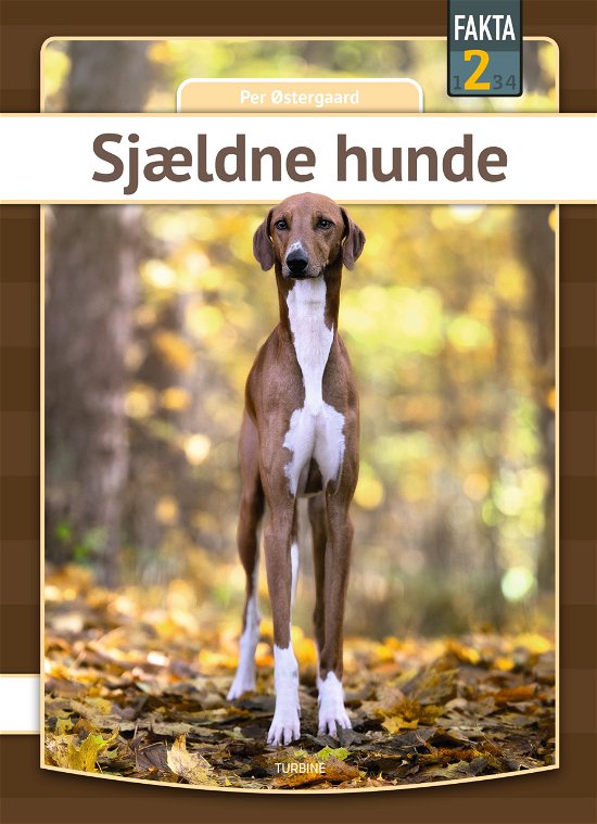 Cover for Per Østergaard · Fakta 2: Sjældne hunde (Hardcover Book) [1th edição] (2024)