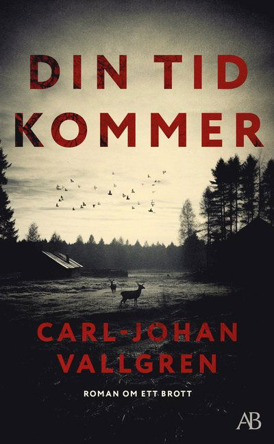 Cover for Carl-Johan Vallgren · Din tid kommer (Paperback Book)