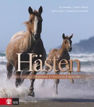 Cover for Margaretha Rundgren · Hästen : beteende, utfodring, fysiologi, anatomi (Bound Book) (2013)