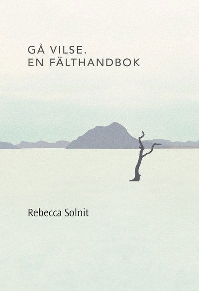 Gå vilse. En fälthandbok - Rebecca Solnit - Böcker - Bokförlaget Daidalos - 9789171734785 - 15 februari 2016