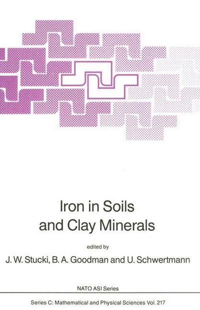 J.W. Stucki · Iron in Soils and Clay Minerals - NATO Science Series C (Paperback Book) [Softcover reprint of the original 1st ed. 1988 edition] (2011)