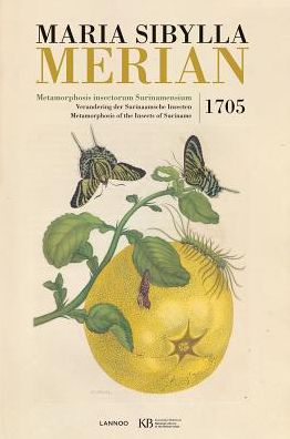 Metamorphosis Insectorum Surinamensium - Maria Sibylla Merian - Books - Lannoo Publishers - 9789401433785 - October 4, 2016