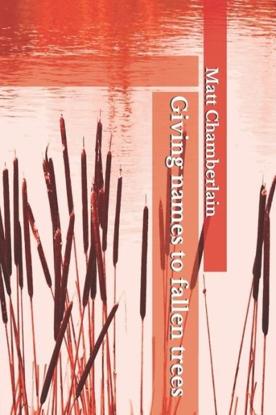 Cover for Matt Chamberlain · Giving names to fallen trees (Paperback Bog) (2020)