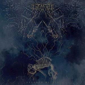 Cover for Intonate · Severed Within (LP) (2021)