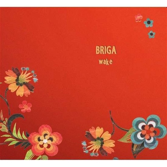 Cover for Briga · Wake (CD) (2014)