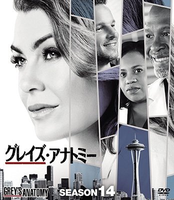 Cover for Ellen Pompeo · Grey's Anatomy Season14 Compact Box (MDVD) [Japan Import edition] (2021)