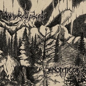 Cover for Panopticon &amp; Waldgeflüster · Split DigiCD (CD) (2016)