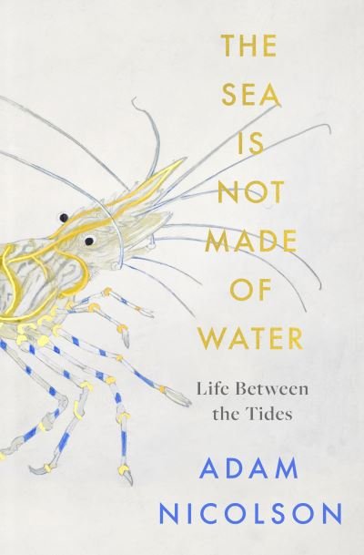 Cover for Adam Nicolson · The Sea is Not Made of Water (Paperback Book) (2021)