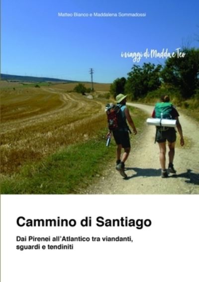 Cover for Maddalena Sommadossi · Cammino Di Santiago - Dai Pirenei All'Atlantico Tra Viandanti, Sguardi e Tendiniti (Book) (2020)