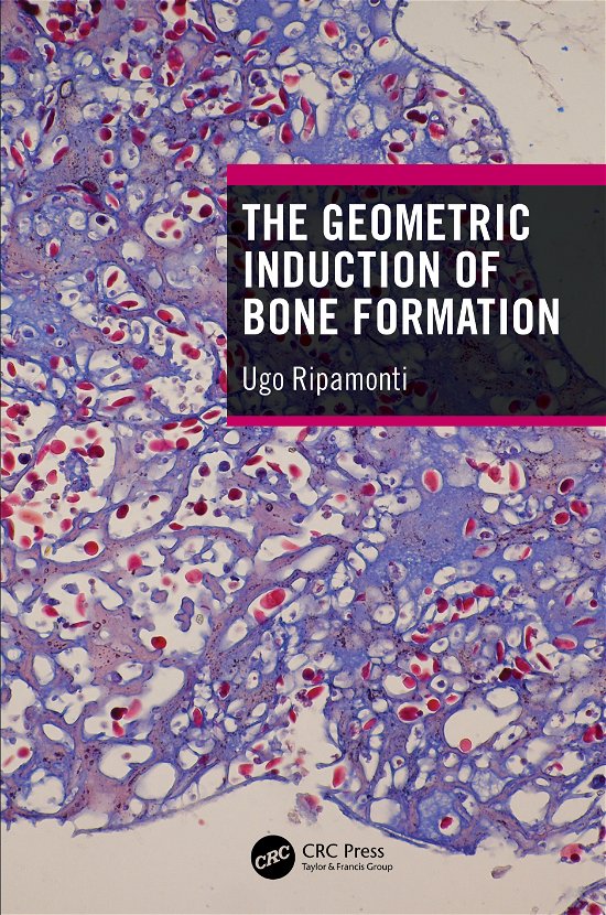 Cover for Ugo Ripamonti · The Geometric Induction of Bone Formation (Gebundenes Buch) (2020)