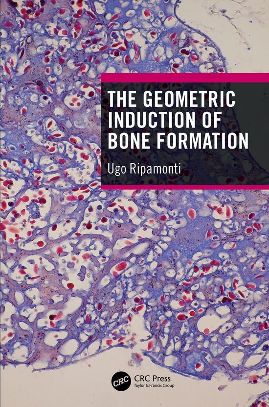 Cover for Ripamonti, Ugo (University of the Witwatersrand, Bone Research Lab, Johannesburg, South Africa) · The Geometric Induction of Bone Formation (Hardcover Book) (2020)